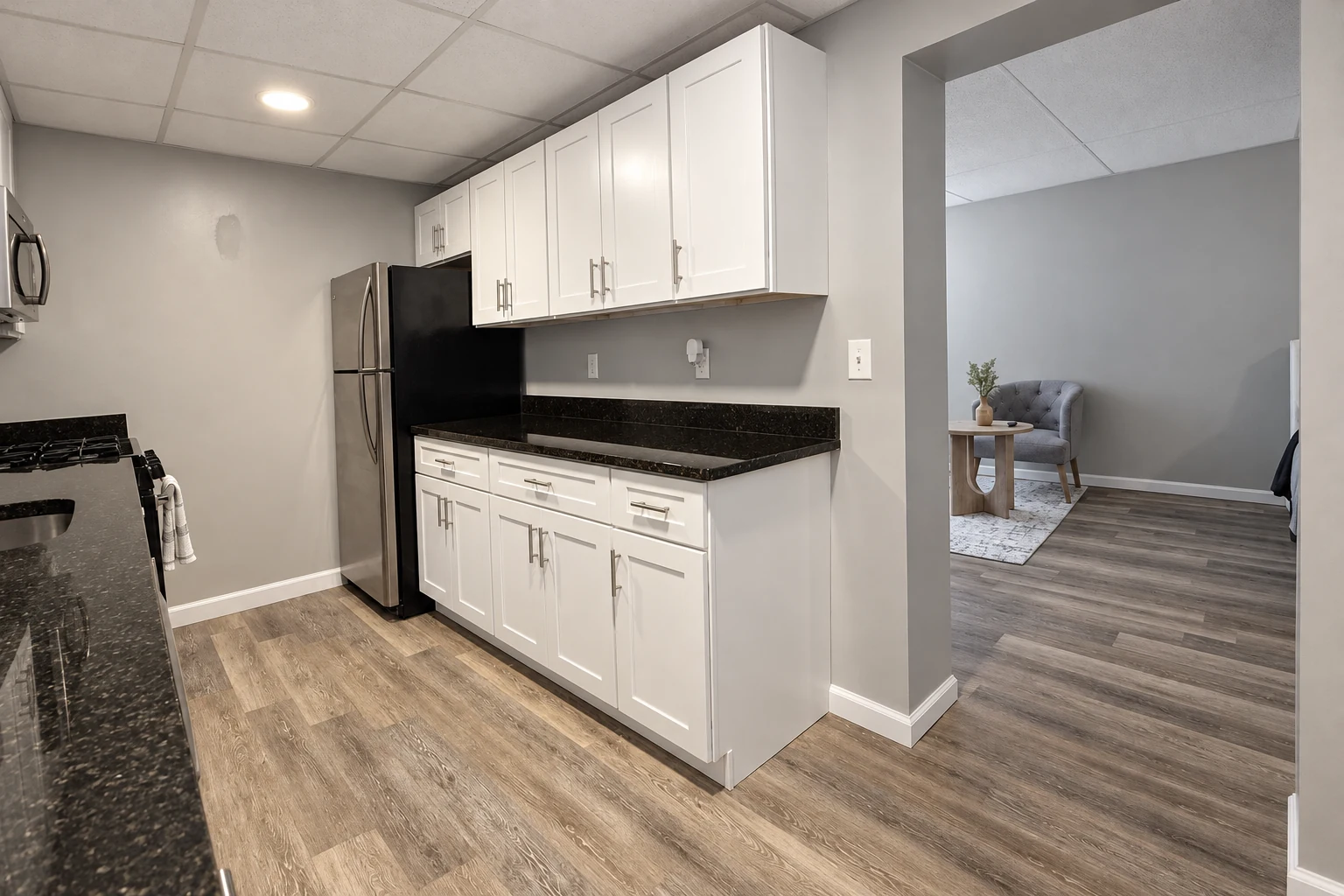 Studio apartment: kitchen and living area