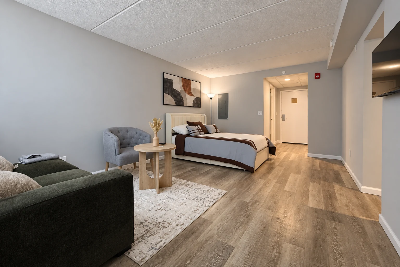 Studio apartment: studio layout